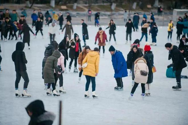 京多所高校专业冰场对外开放qy千亿国际冰雪头条：北(图9)