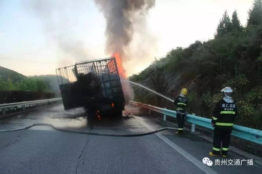 只顾聊天小孩双双跑河边玩；泉州：男子无证驾车遇事故让老婆顶包男子载5子女冲入水库溺亡；货车大火96头猪被烧死；南安两母亲(图5)